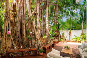 3700 Leafy Way, Miami, FL 33133, Sold 06/05/25