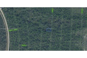 6643 Persis Dr. Sebring, FL 33872 - MLS#A11708855