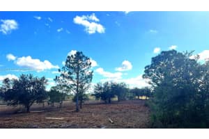 17562 Nw 304 St Okeechobee, FL 34972 Sold 02/18/25