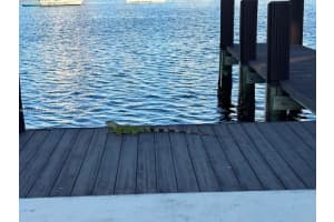 450 Golden Isles Dr #1c, Hallandale Beach, FL 33009, - MLS#A11712464
