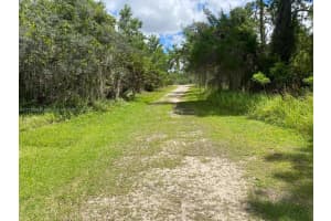 1105 Butternut Road Lake Placid, FL 33852 - MLS#A11713628