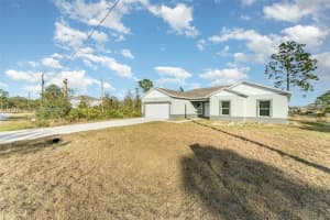1609 Pickerel Ct. Other, FL 34759 - MLS#A11714851