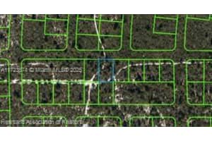 437 Souvenir Lane Lake Placid, FL 33852 - MLS#A11723574