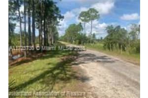 881 Papaya Street Lake Placid, FL 33852 - MLS#A11723730