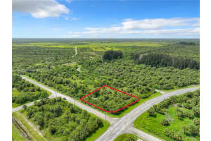 807 Sw Laika Rd Sw Palm Bay, FL 32908 Sold 02/28/25