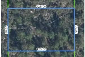 3510 Teakwood Drive Sebring, FL 33875 - MLS#A11726563