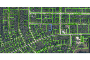 MLS# A11726583, Lake Placid, Florida 33852