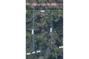 MLS# A11726583, Lake Placid, Florida 33852