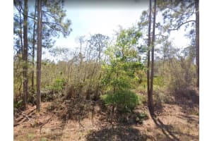 MLS# A11726583, Lake Placid, Florida 33852