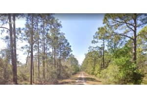 MLS# A11726583, Lake Placid, Florida 33852