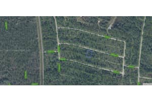 8637 Primavera Street Sebring, FL 33872 - MLS#A11726613