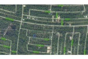 8024 Marin Street Sebring, FL 33872 - MLS#A11729404