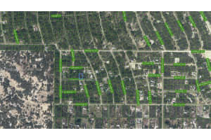 110 Sentimental Ct Lake Placid, FL 33852 - MLS#A11729453