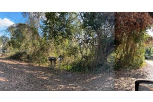 10572 Se 188 Ct Other, FL 32179 Sold 06/06/25