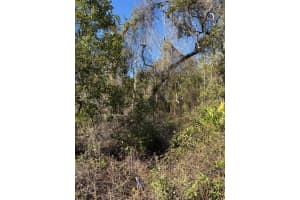 10572 Se 188 Ct Other, FL 32179 Sold 06/06/25