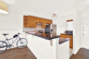 233 SE 14th Ave, Hallandale Beach, FL 33009, Sold 03/28/25