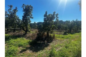 228xx Sw 202 Ave Homestead, FL 33170 Sold 10/21/25