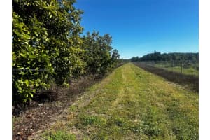 228xx Sw 202 Ave Homestead, FL 33170 Sold 10/21/25