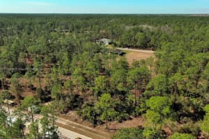 2309 Grant Ave Lehigh Acres, FL 33920 - MLS#A11736154