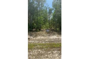 50th Ave Ne Everglades Blvd N Naples, FL 34120 - MLS#A11736347