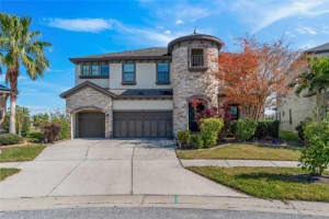 11436 Drifting Leaf Drive, Riverview