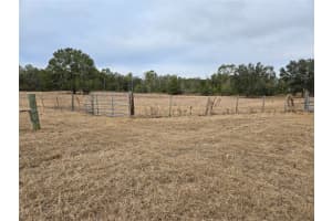 195 Sw Turkey Gln Other, FL 32028 - MLS#A11740449