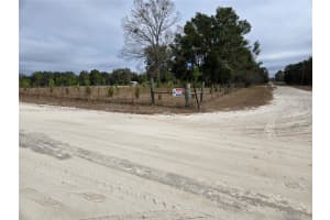 195 Sw Turkey Gln Other, FL 32028 - MLS#A11740449