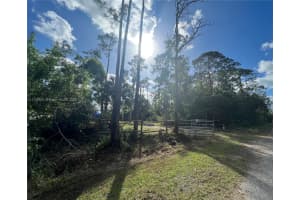 3050 Pine Tree Dr Naples, FL 34112 - MLS#A11745031