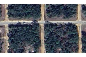335 Janet Ave Other, FL 32148 Sold 09/17/25