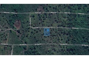 4509 Rosaro Ave Sebring, FL 33872 - MLS#A11747797