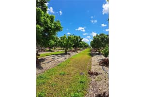 MLS# A11748847, Homestead, Florida 33034