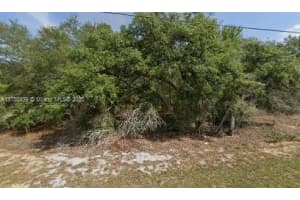 331 N W Baker Citrus Springs, FL 34434 Sold 03/28/25