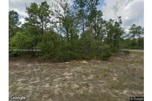 6568 N Dunlap Ter Citrus Springs, FL 34434 Sold 03/28/25