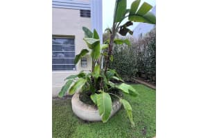 1535 Meridian Ave APT 3, Miami Beach, FL 33139, - MLS#A11751143
