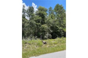 Tbd Sw 59th Ln Dunnellon, FL 34431 - MLS#A11751681
