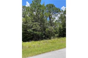 Tbd Sw 59th Ln Dunnellon, FL 34431 - MLS#A11751681
