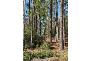 00 Sw 209th Ave Other, FL 34431 Sold 01/06/26