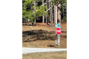 00 Sw 209th Ave Other, FL 34431 Sold 01/06/26