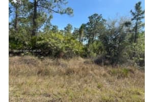 1306 Irving Ave Lehigh Acres, FL 33972 Sold 04/09/25