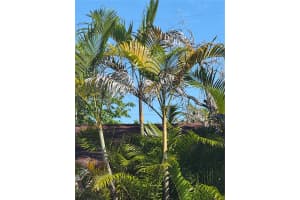 769 NW 118th St, Miami, FL 33168, Sold 05/06/25