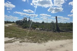 2245 W Yarbrough Rd Avon Park, FL 33825 - MLS#A11753889