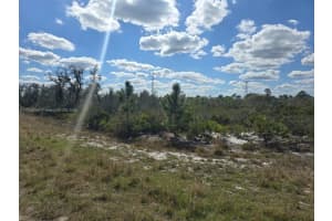 2245 W Yarbrough Rd Avon Park, FL 33825 - MLS#A11753889