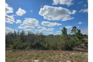 2245 W Yarbrough Rd Avon Park, FL 33825 - MLS#A11753889