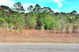 565 Summit Ave S Lehigh Acres, FL 33974 - MLS#A11755718