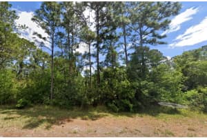 354 Wildcat St Lake Placid, FL 33852 Sold 05/08/25
