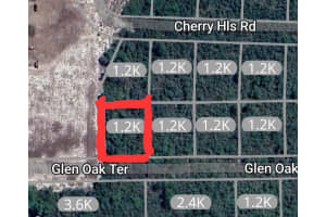 2948 Glen Oak Ter. Sebring, FL 33875 - MLS#A11757874