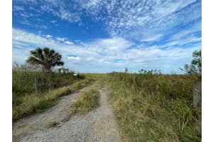 3700 State Rd 70 Lake Placid, FL 33852 - MLS#A11759770