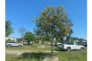 15361 Sw 208th Ave Miami, FL 33187 Sold 07/24/25