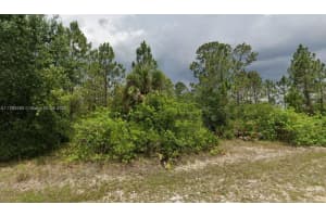 1408 Plumosa Ave Lehigh Acres, FL 33972 - MLS#A11763580