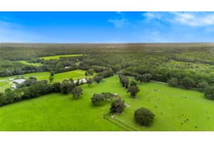  00 Nw 193 Ocala, FL 32667 Sold 06/01/25